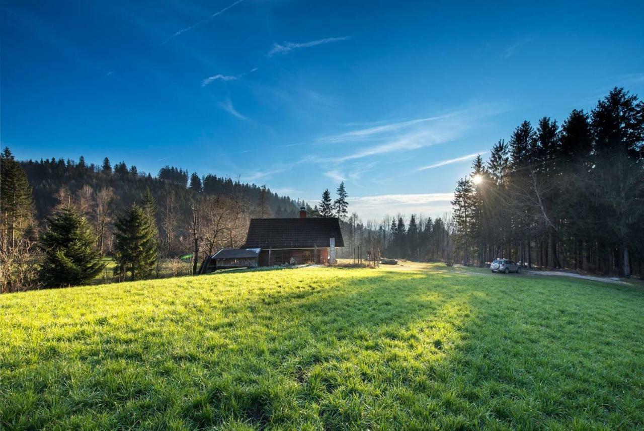 Little Dream House In A Perfect Spot Villa Zalog Eksteriør billede